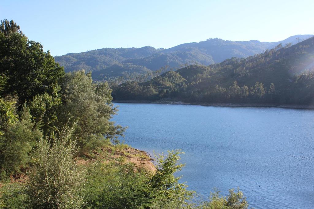 Imagen 4